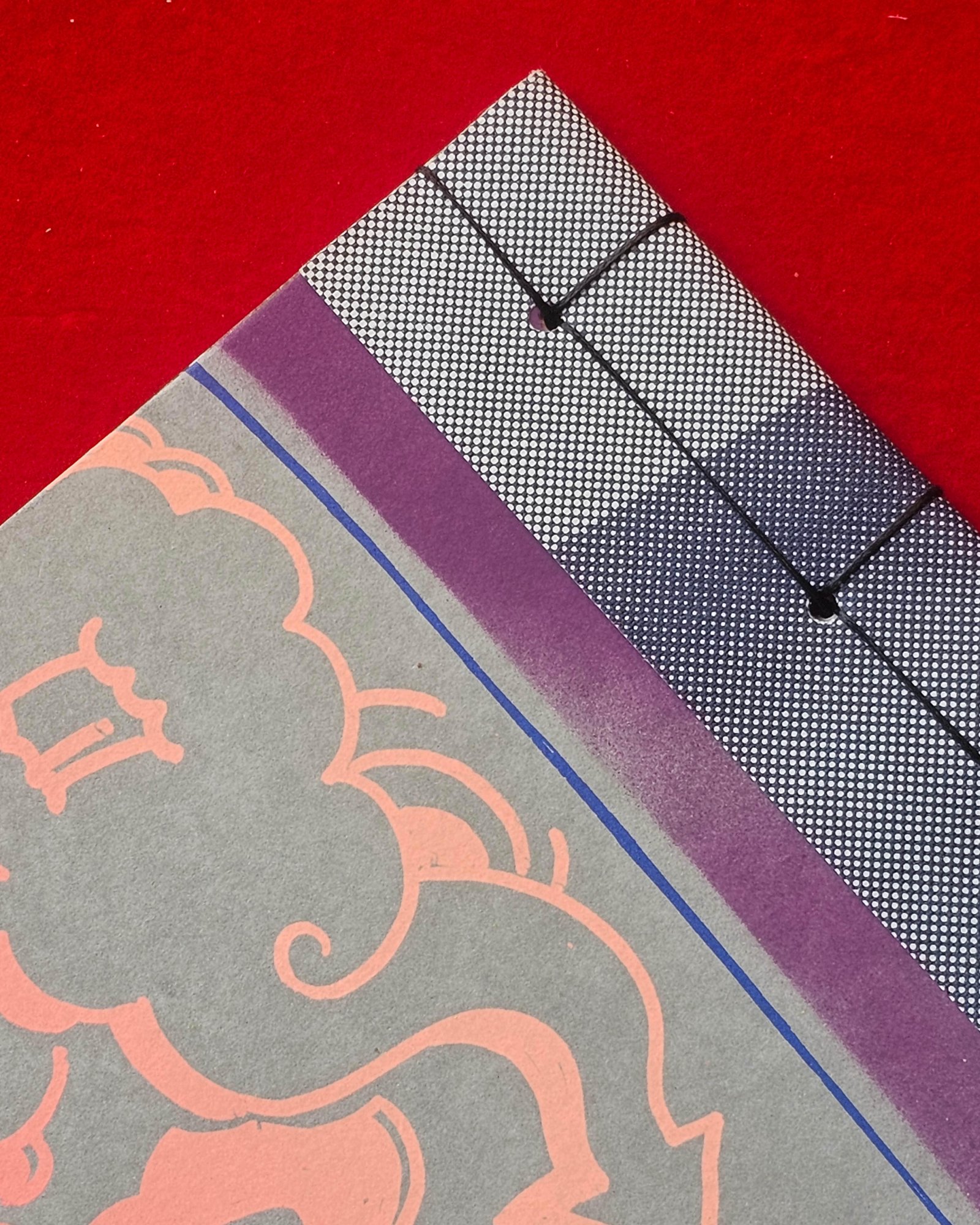 Special Edition View 7